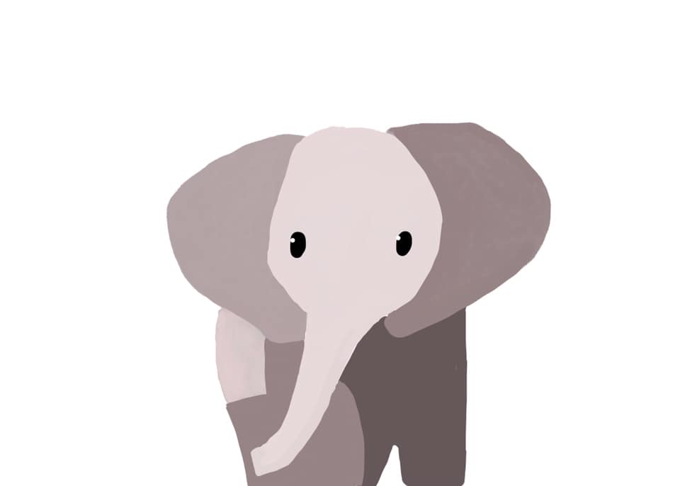 baby elephant